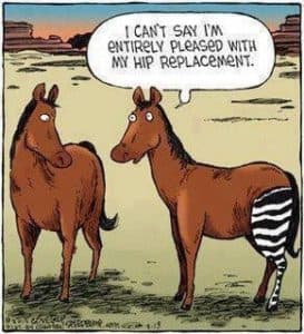 Horse riding after hip surgery