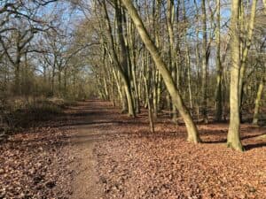 Trail marathon